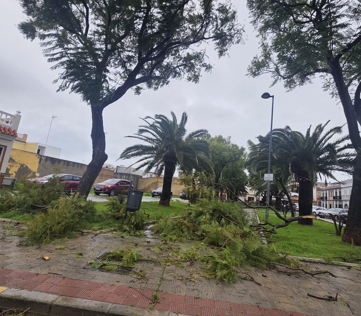 La borrasca Kristin dejó varias incidencias en la ciudad