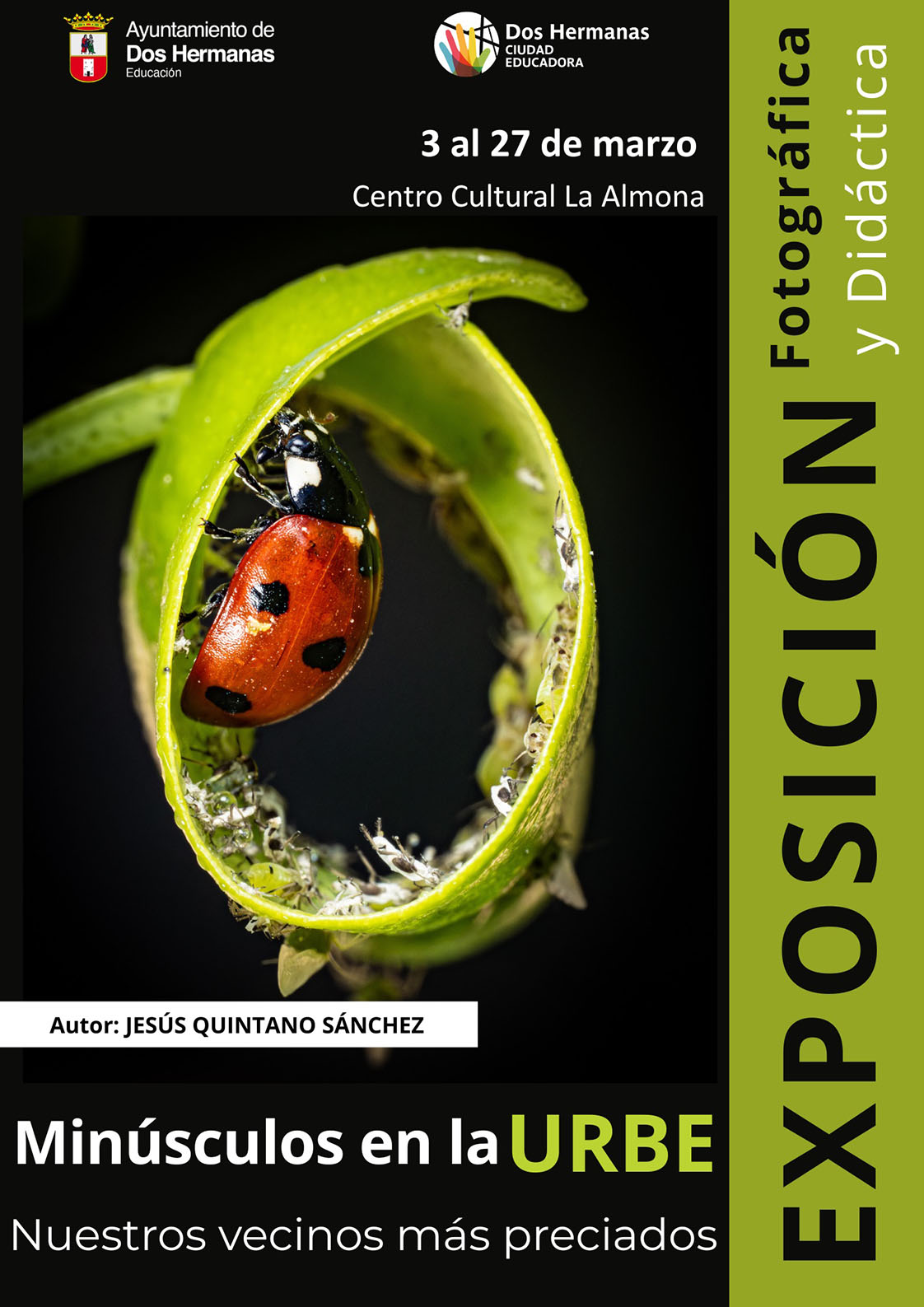Minúsculos en la urbe, nueva exposición de insectos en La Almona