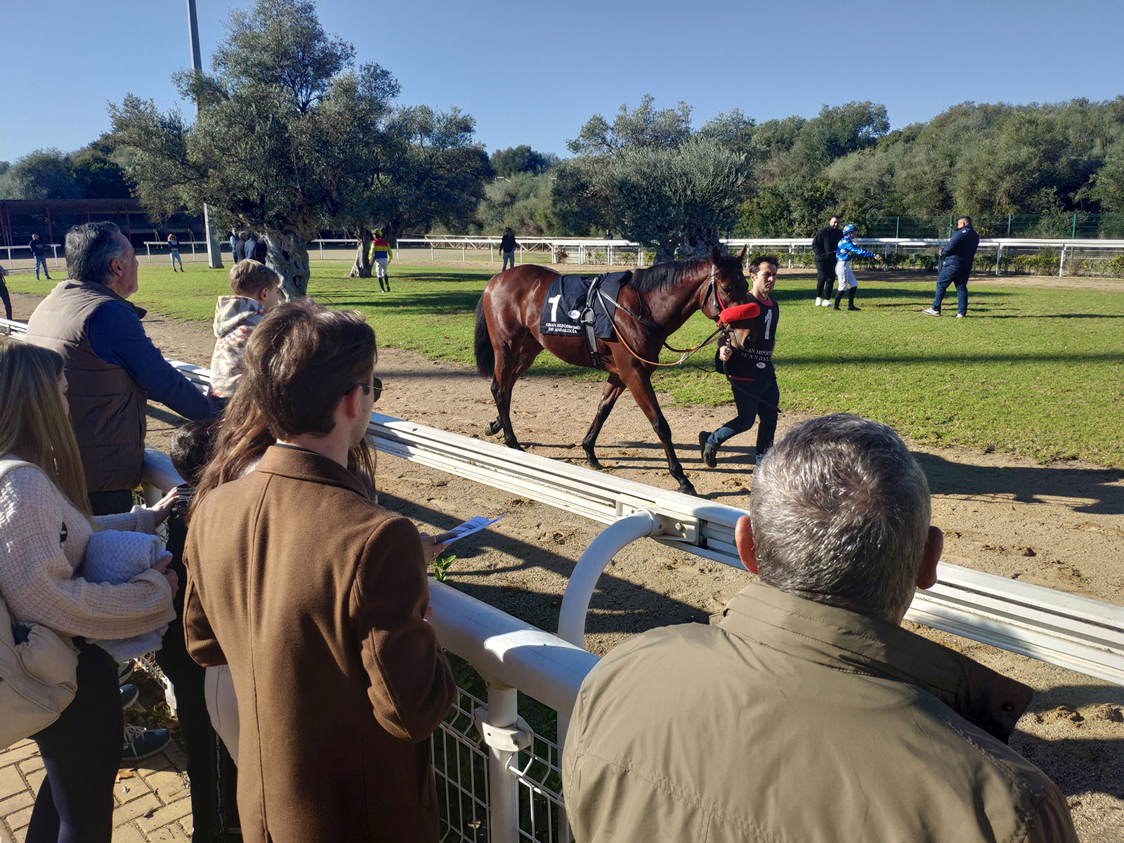 Sexta jornada del año en el hipódromo de Dos Hermanas