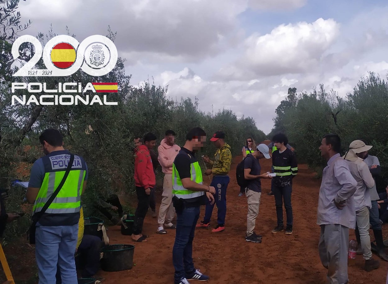 Explotación laboral de 45 extranjeros recogiendo mandarinas