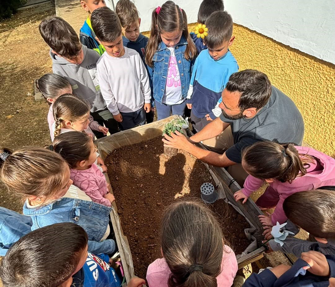Actividad de colaboración sobre el cuidado de las plantas